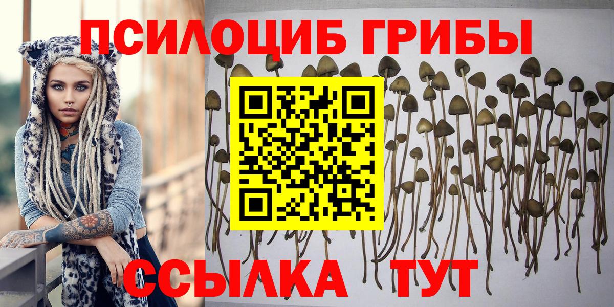 Псилоцибиновые грибы прущие грибы  Вход с VPN  Учалы 
