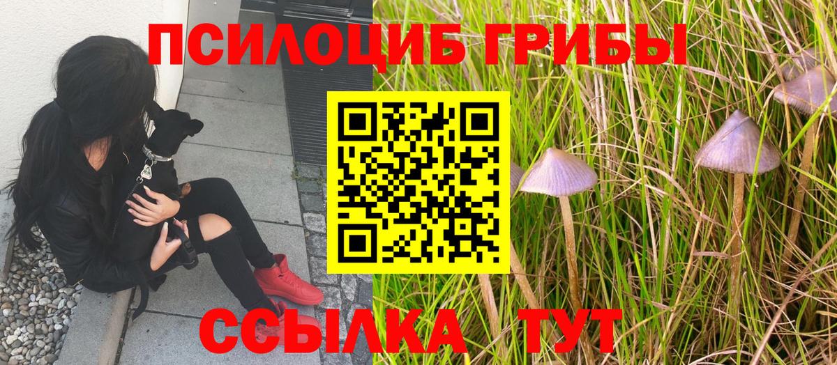 Галлюциногенные грибы прущие грибы Учалы